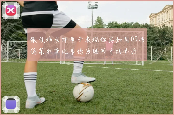 张佳玮点评华子表现称其如同09韦德莱利曾比韦德为矮两寸的乔丹