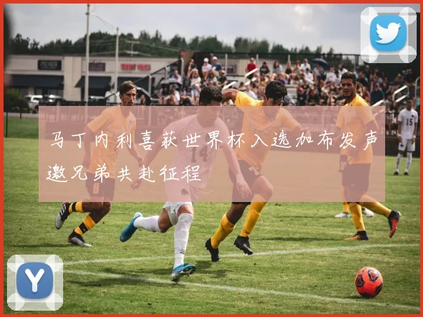 马丁内利喜获世界杯入选加布发声邀兄弟共赴征程
